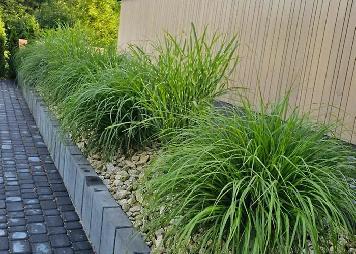 Ferienhaus Dom W Czerwonej Dolinie Haus Im Roten Tal Seidorf Sosnówka`