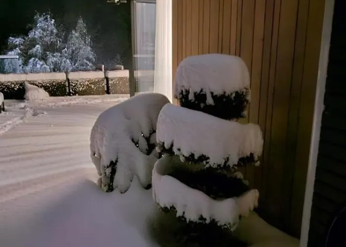 Dom W Czerwonej Dolinie Haus Im Roten Tal Seidorf Sosnówka`